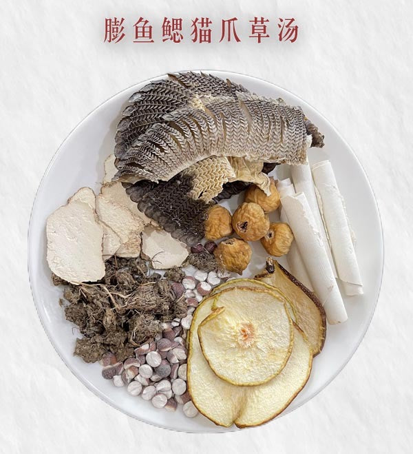 彭魚鰓貓爪草湯